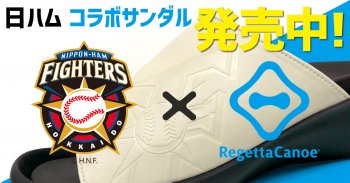 日本ハムファイターズとのコラボサンダル販売開始!!