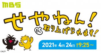 MBS「せやねん!」に取り上げられます! 4/24(土)